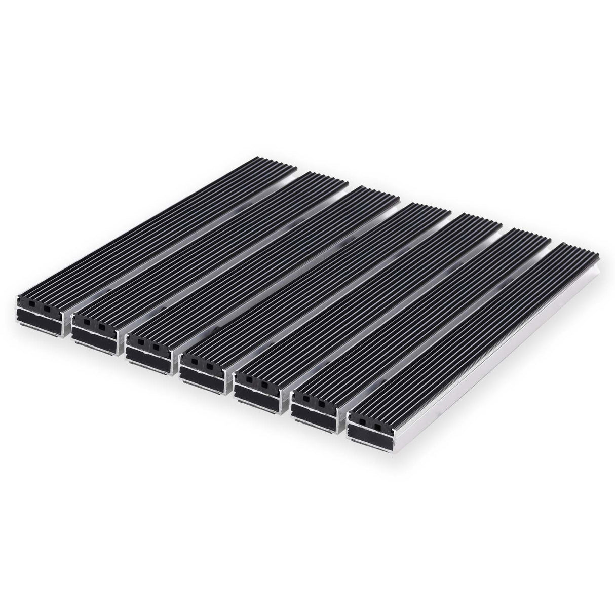 Eingangsmatte ALUPRO mit Gummi-Einsatz Querschnitt Mattenlager | High - 21 mm