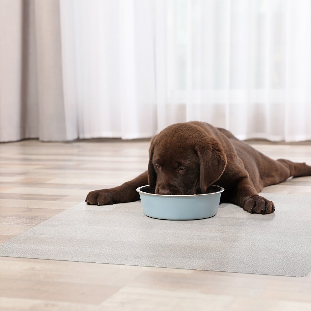 Bodenschutzmatte DURA-MAT - Transparente Napfunterlage - Für Hartböden