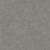 PVC-Bodenbelag FELIX Nahaufnahme Mattenlager | Uni Anthrazit