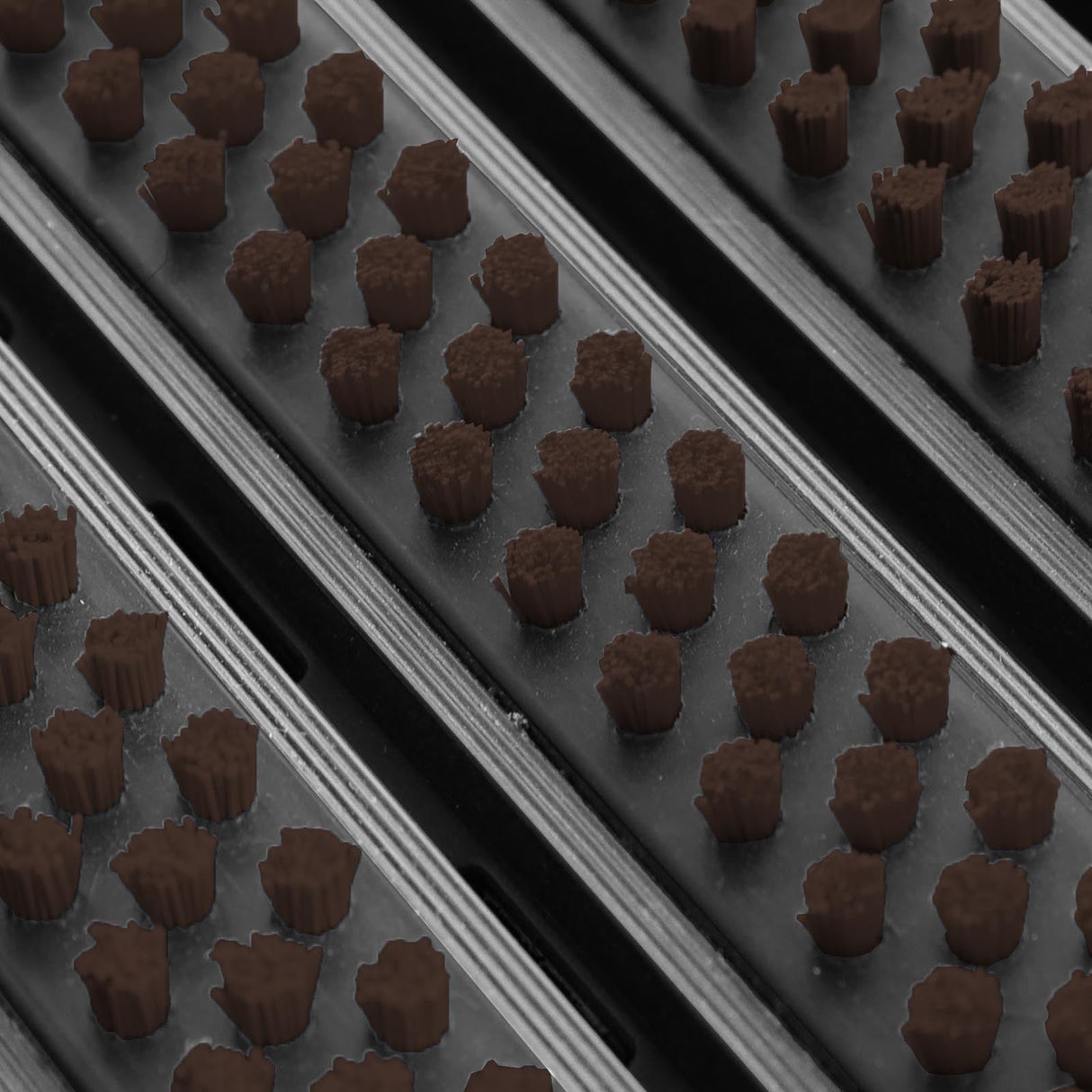 Eingangsmatte ALUPRO mit Bürsten-Einsatz | Braun