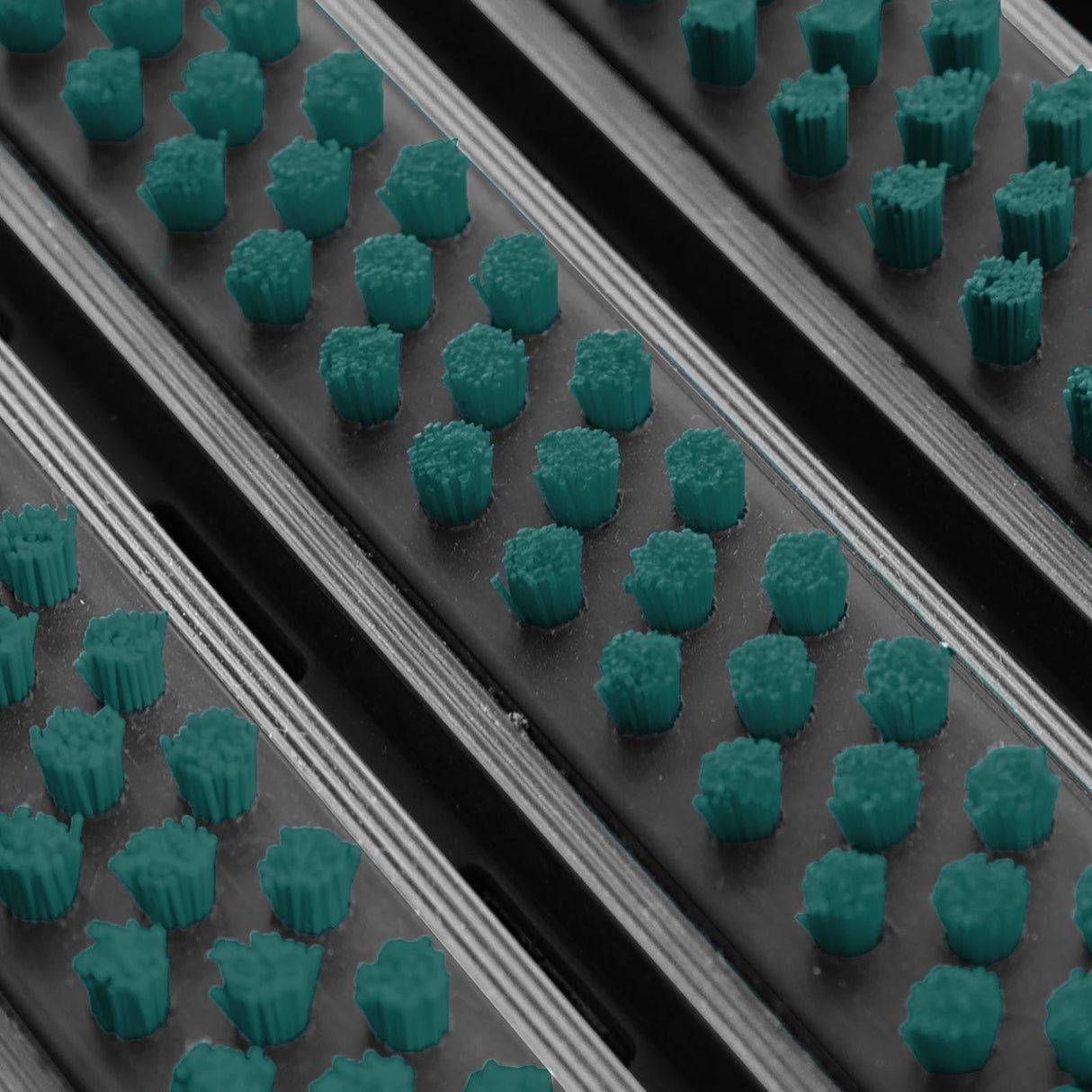 Eingangsmatte ALUPRO mit Bürsten-Einsatz | Dunkelgrün