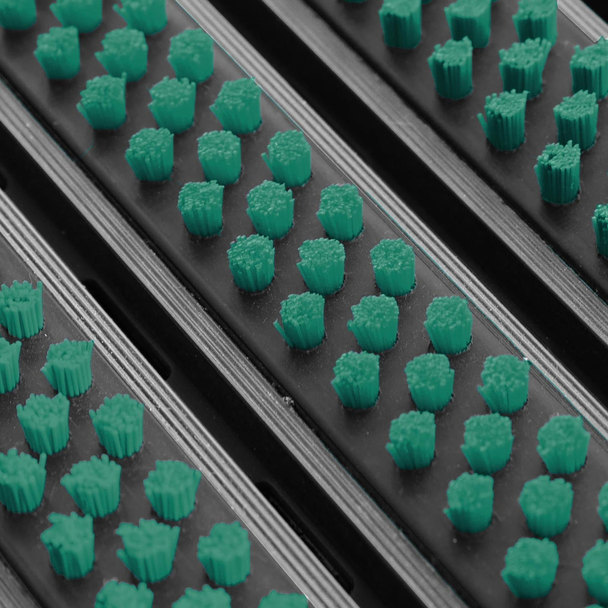 Eingangsmatte ALUPRO mit Bürsten-Einsatz |  Grün