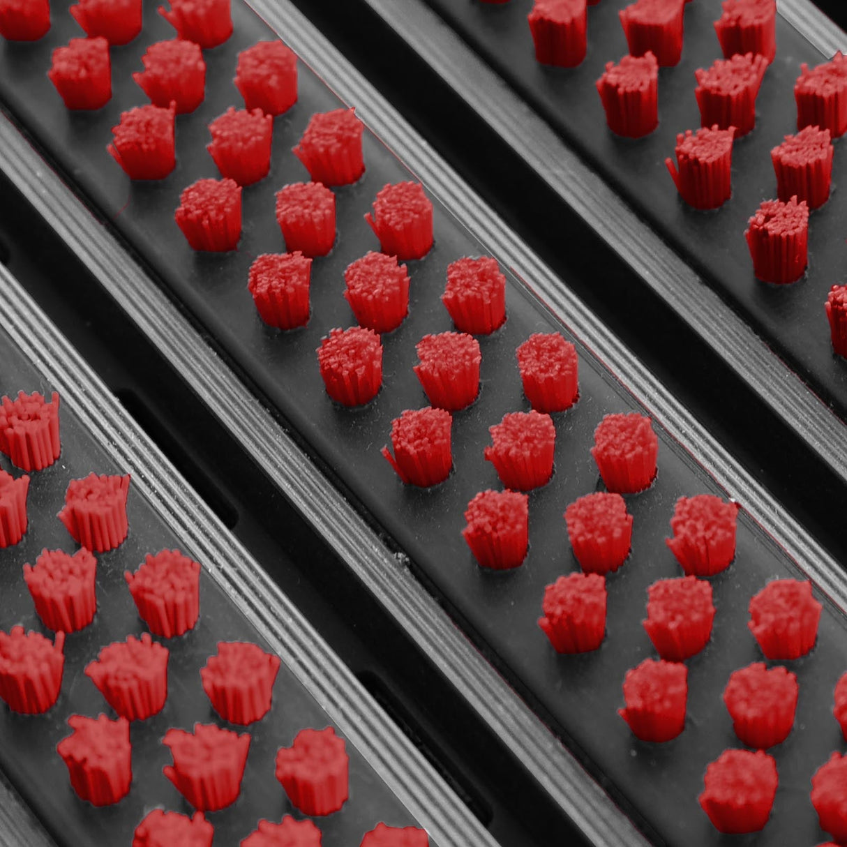 Eingangsmatte ALUPRO mit Bürsten-Einsatz | Dunkelrot