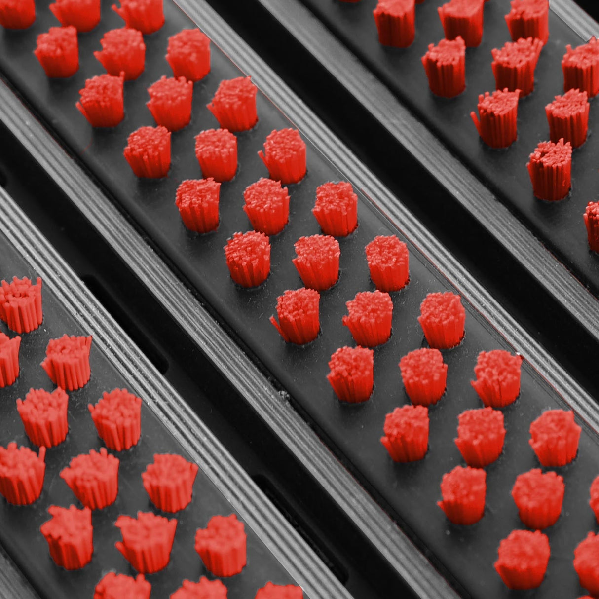 Eingangsmatte ALUPRO mit Bürsten-Einsatz | Hellrot