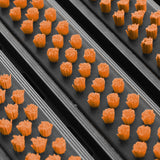 Eingangsmatte ALUPRO mit Bürsten-Einsatz | Orange