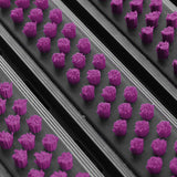 Eingangsmatte ALUPRO mit Bürsten-Einsatz | Lila