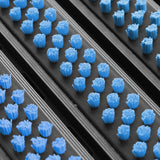 Eingangsmatte ALUPRO mit Bürsten-Einsatz | Hellblau