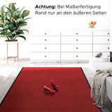 Schmutzfang Teppich Eingangsbereich | Rot